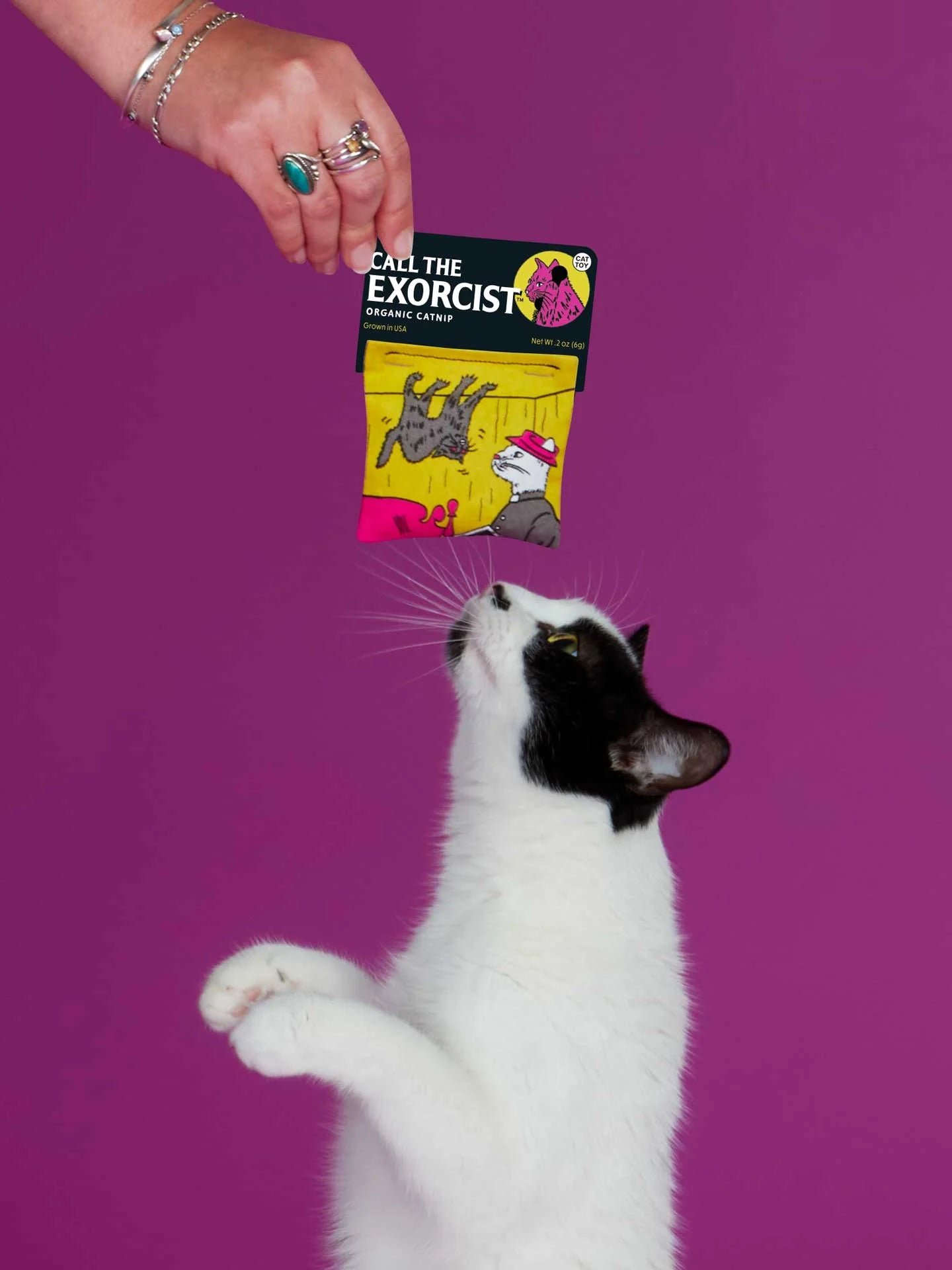 Call The Exorcist Catnip Toy